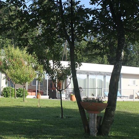 Manuel Tiago Pereira Villa Braga Exterior photo